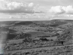 Hawnby Hill and Banniscue